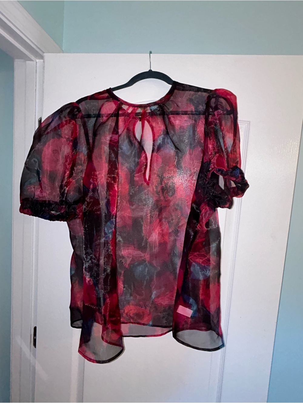 Sheer Floral Puff-Sleeve Blouse in Red and Pink